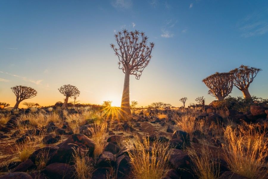 Voyage : découverte de la beauté du paysage de la Namibie