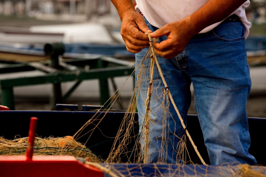 Quelle est la réglementation pour la pêche en bord de mer Méditerranée ?
