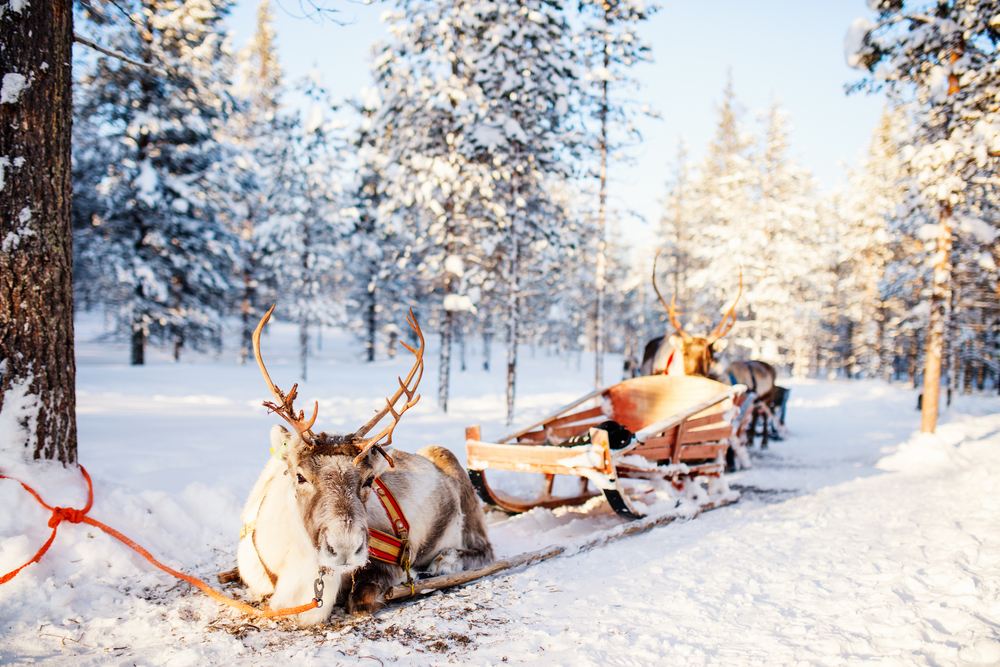 Laponie Suédoise : une destination exceptionnelle