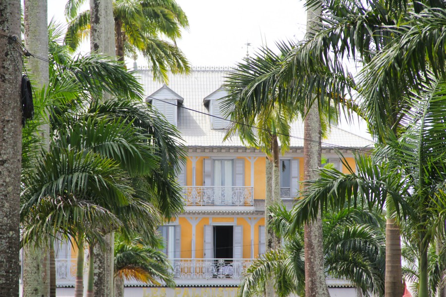 Cayenne Guyane : découvrez cette destination française ensoleillée !