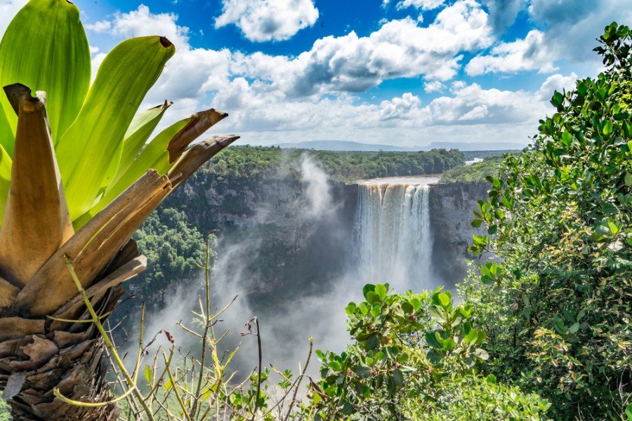 Un voyage vers les chutes de Kaieteur en Amérique du Sud