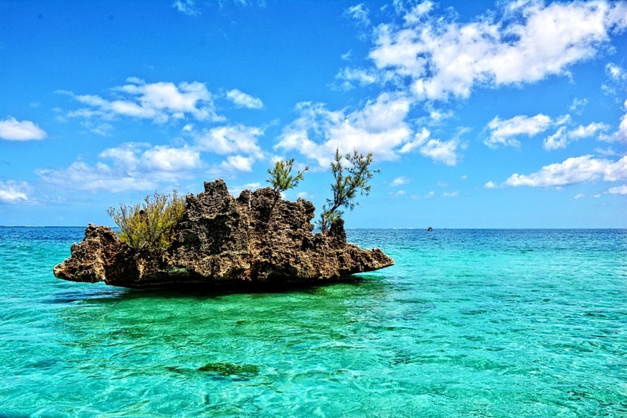 Découverte de l'île aux Bénitiers : un joyau de l'Océan Indien