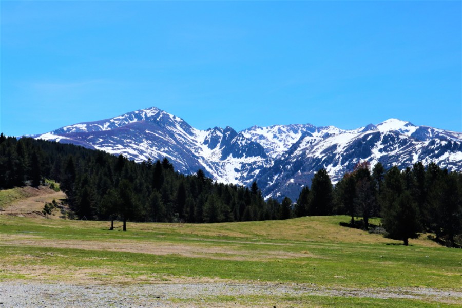 Pourquoi visiter le Plateau de Beille en été ?