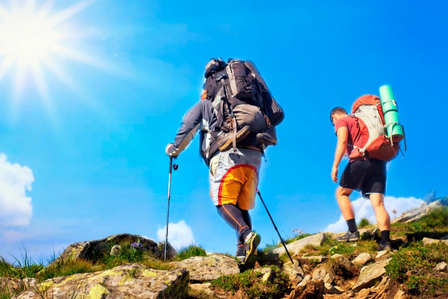 Quels sont les sentiers de randonnée populaires à Seyne les Alpes ?